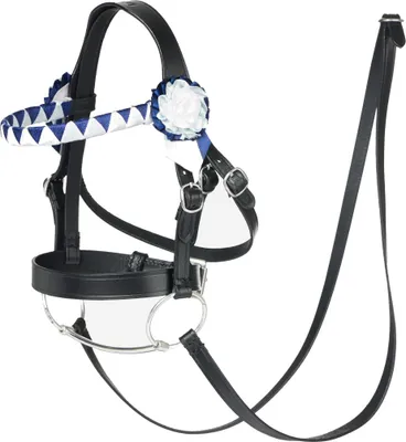 Produktbild von LeMieux Hobby Horse Turniertrense