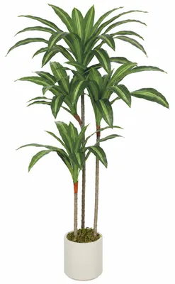 Produktbild von Künstlicher Dracaena-Baum 120 cm mit biegsamen Stämmen und weißem Pflanzgefäß für Wohnzimmer Schlafzimmer Büro