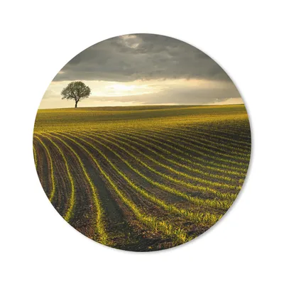 Produktbild von MuchoWow® Mauspad Mousepad Wiese - Baum - Dunkelheit 20x20 cm - Mousepads - Maus Mat - Pad - Mausunterlage - Schreibtischmatte