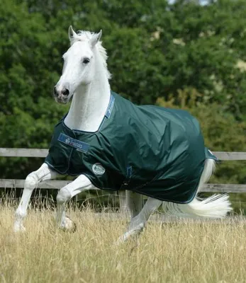 Produktbild von Bucas Regendecke Paddockdecke Pferdedecke Green-Line Turnout 100g Green, Größe:135