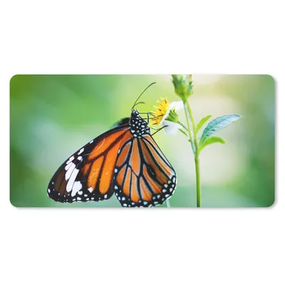 Produktbild von MuchoWow® Schreibtischunterlage Schmetterling - Blumen - Insekten 80x40 cm - XXL Mauspad - Gaming Mauspad