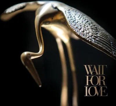 Produktbild von Wait For Love