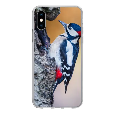 Produktbild von MuchoWow® Handyhülle Schutzhülle Hülle für iPhone X Nahaufnahme eines Buntspechts auf einem Baumstamm Silikon Softcase Handy Hülle - Handyhülle