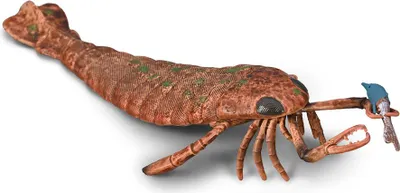 Zdjęcie produktu dla Figurka do zabawy Collecta Jaekelopterus XL - prehistoryczne zwierzę