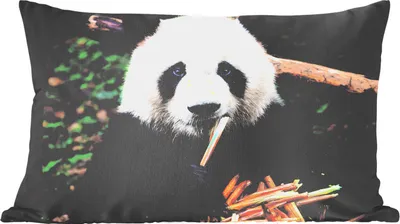 Produktbild von MuchoWow® Zierkissen Sofakissen Wohnzimmer Dekokissen 50x30 cm Panda - Bambus - Natur - Wohnzimmerdekoration - Polster mit Photo