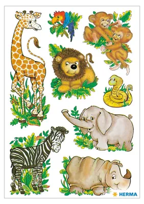 Image de Herma Sticker DECOR Animaux de la jungle 3 fls