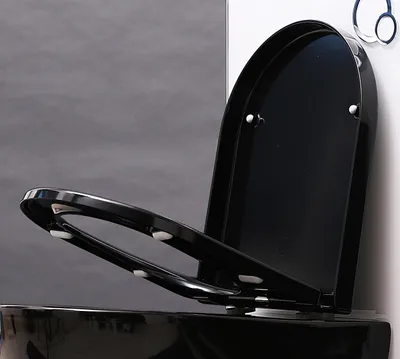 Produktbild von BERNSTEIN Duroplast WC-Sitz U1002 in Schwarz mit Softclose-Absenkautomatik und Take-Off-Funktion, Universelle D-Form