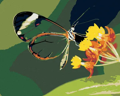 Produktbild von Diamondi - Diamond painting - SCHMETTERLING UND BLUMEN, 40X50 cm, ohne Keilrahmen