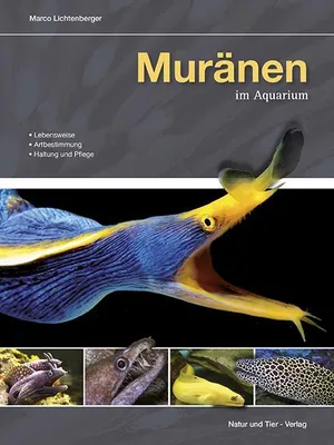 Obrázek produktu pro Muränen im Aquarium