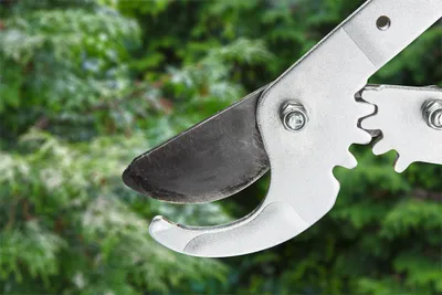 Obrázok produktu pre VERTO Strihacie nožnice 690 mm, priemer strihu 42 mm, hliníkové rukoväte
