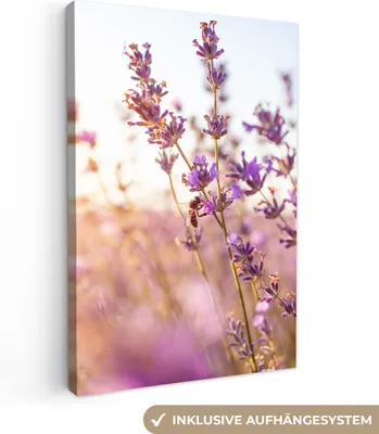 Produktbild von MuchoWow® - Leinwandbilder - Lavendel - Nahaufnahme - Sonne - Blumen - Lila, Wandbild, Wanddeko Bilder Wohnzimmer, 40x60 cm
