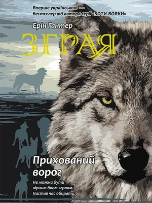 Produktbild von Sfora Księga 2 Ukryty wróg wer. ukraińska