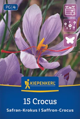 Produktbild von Kiepenkerl Safrankrokus Crocus sativus 15 Zwiebeln