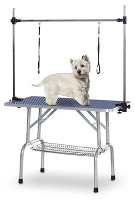 Image de Table de toilettage pour chiens - Table de toilettage | Couleur : Noir | Dimensions : 60 x 107 x 170 cm