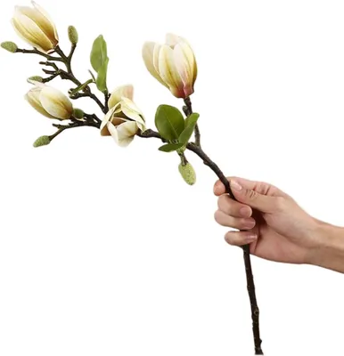 Produktbild von Faux Blumen realistisch aussehend wartungsfreie nicht verdorren nicht erforderlich, um dekorative Hochzeitsdekoration lebendig gefärbt Simulation Magnolia Blume Home Bouquet Party Vorräte-Grün