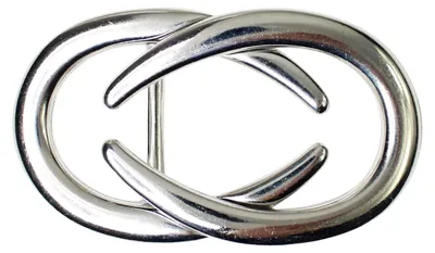 Produktbild von FRONHOFER Modische Gürtelschnalle silber, 3 cm, Damen