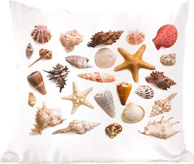Produktbild von MuchoWow® Zierkissen Sofakissen Wohnzimmer Dekokissen 40x40 cm Muschel - Seestern - Weiß - Foto Kissen - Schlafzimmer Dekoration