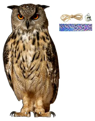 Produktbild von Vogelabwehrglocke – Realistische Eulen- und Falkenattrappe für den Garten
