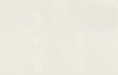 Produktbild von Rasch Glasfasertapete 028538 basic 25 x 1 m