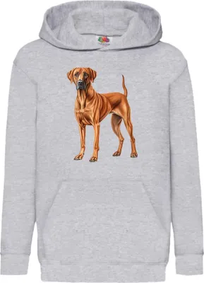 Obrázok produktu pre Detská Mikina S Kapucňou Dogs Breeds Rhodesian Ridgeback Dog Breed 006, 5-6 Jahr - 116 / Heather šedá