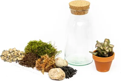 Obrázek produktu pro Gardners Skleněná dóza SYRINGA OSÁZEJ SI SÁM vlhkomilně, S