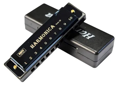Obrázek produktu pro Harmonika – 10 otvorů – ladění C
