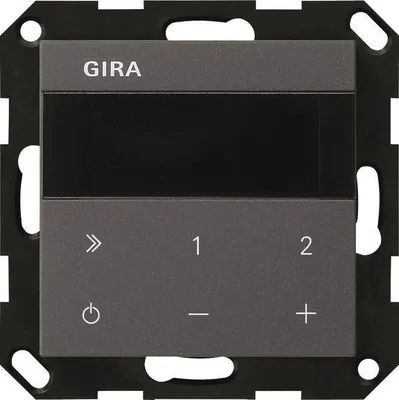 Image de GIRA 232028 Système UP-Radio IP 55 Anthra (232028)