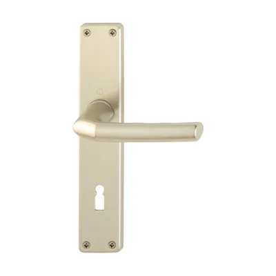 Produktbild von Hoppe Birmingham Langschildgarnitur F2 Aluminium  Neusilber 1117/202SP, BB Bundbart