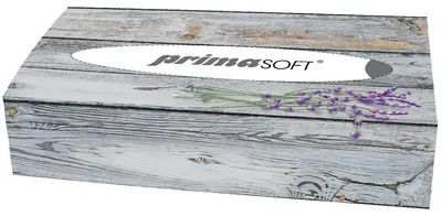 Obrázok produktu pre Vreckovky papierové 2-vrstvové primaSOFT 100ks