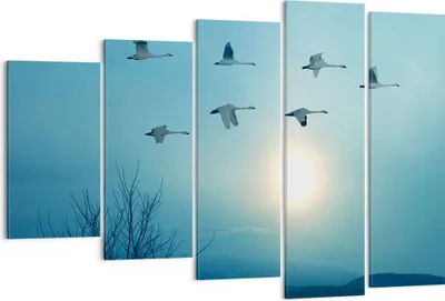 Produktbild von Bild auf Leinwand - Leinwandbild - Storch Vogel Natur - 150x100cm - Wand Bild - Wanddeko - Leinwanddruck - Bilder - Kunstdruck - Wanddekoration - Leinwand bilder - Wandkunst - EG150x100-3802