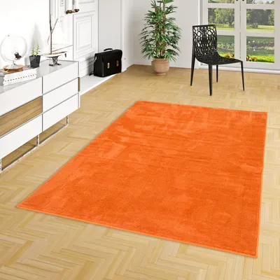 A bright orange rug is placed on a wooden floor in a room with a white dresser, a black briefcase, and a potted plant. A black chair is visible in the background near a window.