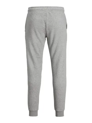 Produktbild von Jack & Jones 12178421, Joggers, Erwachsener, Grau, M, Baumwolle, Polyester, Nicht bleichen