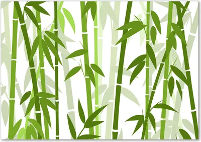 Produktbild von Tulup® Glas-Bild - 100 x 70 - Wandbild aus Glas - Wandkunst - Wandbild hinter gehärtetem Sicherheitsglas - Blumen & Pflanzen - Bambus - Grün