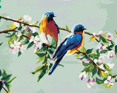Produktbild von Zuty - Malen nach Zahlen - ZWEI VÖGEL AUF EINEM APFELBAUM, 40x50 cm, mit Keilrahmen (bereits gespannt)