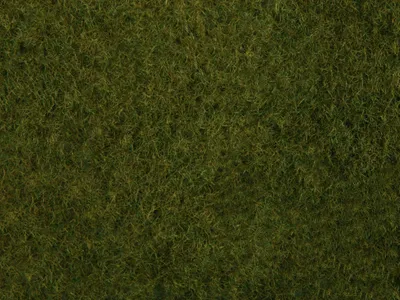 Produktbild von NOCH Wildgras-Foliage, Grün