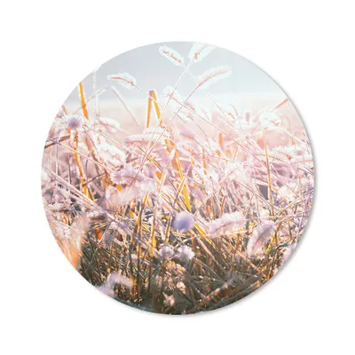 Produktbild von MuchoWow® Mauspad Mousepad Gras - Sonne - Winter - Schnee 20x20 cm - Mousepads - Maus Mat - Pad - Mausunterlage - Schreibtischmatte