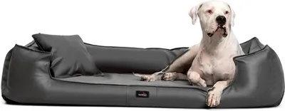 Produktbild von tierlando® Orthopädisches Hundebett GOOFY Kunstleder >>inkl. Matratzenschoner<< - Größe: 110x90cm | Farbe: 02 Graphit