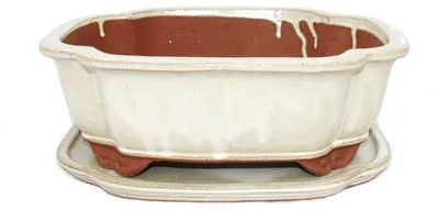 Produktbild von Bonsai-Schale mit Unterteller Gr. 5 - hellbeige - haitang I4 -  L 31,5cm - B 26cm - H 11cm