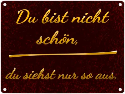 Produktbild von Metallschild in 15x20 cm mit Spruch - Du bist nicht schön, du siehst nur so aus