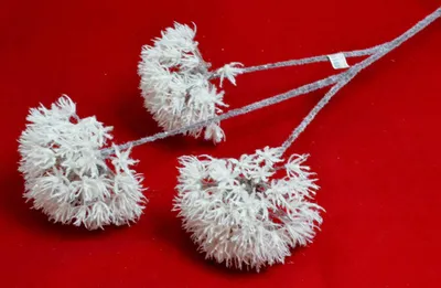 Produktbild von Alliumzweig mit 3 Blüten Winter-weiss 80 cm Glitzereffekt