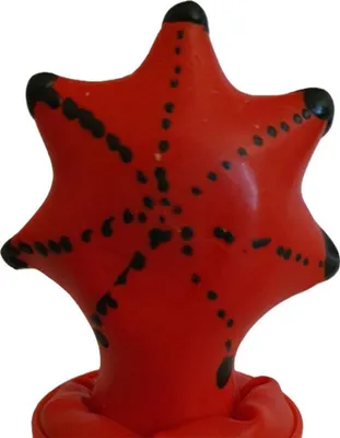 Obrázek produktu pro Kondomery - Ručně malované kondomy - Starfish