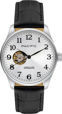 Immagine prodotto di Orologio Pacific Uomo Nero Pacific-PC00913