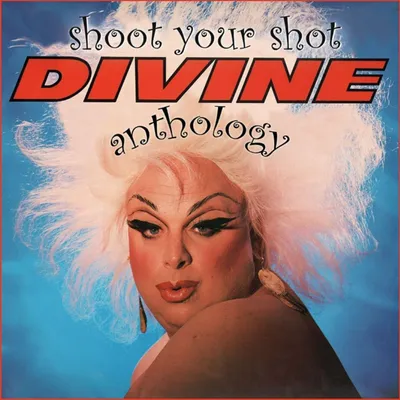 Image de Divine-Shoot Your Shot - The Divine Anthology (2CD D)