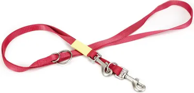 Produktbild von Beeztees Uni - Hundeleine - rosa - 200 cm x 20 mm