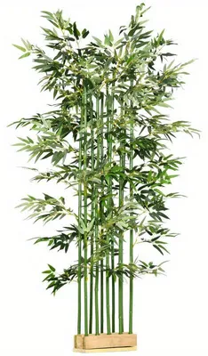 Image de Plante artificielle – Plante de bambou – Plante décorative – 180 cm de hauteur – Pot en bois de pin – Aspect réaliste et facile d'entretien