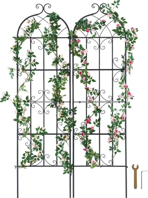 Immagine prodotto di SucceBuy traliccio da giardino per piante rampicanti, 180,3 x 50,8 cm, 2 confezioni, metallo antiruggine, abbellisce il vostro giardino
