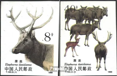 Produktbild von Briefmarken Volksrepublik China 1988 Mi 2213B-2214B (kompl.Ausg.) postfrisch Davidshirsch