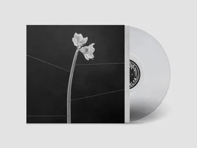 Zdjęcie produktu dla Trentemøller: Trentemøller: Dreamweaver (Crystal Clear Vinyl) - - (LP / D)