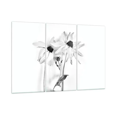 Produktbild von Bilder auf glas - 3 Teile - Verwelkt Blumen Monochrom - 105x70cm - Glasbilder - Wandbilder - Bilder - zum Aufhängen bereit - Wanddekoration aus Glas - Glas Bilder - Wandbild auf Glas - GCE105x70-4737