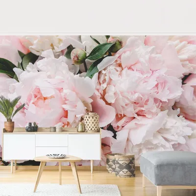 Produktbild von Fototapete Blumen - Vliestapete - Bildtapete UV-beständig Rose rosa Landhaus Wandtapete geruchsfrei